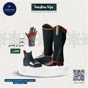 البكج الفضي 2