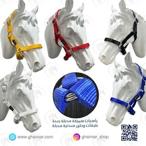 رأسية مدبلة