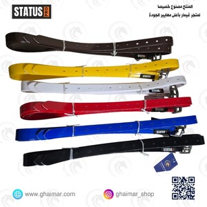 سيور ركابات ستيتوس برو