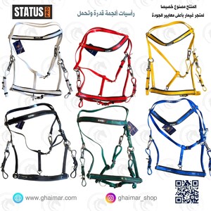 رأسية لجام تحمل فىة برو